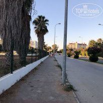 фото из отзыва ID 2135991