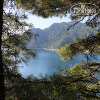 фото из отзыва ID 2136036