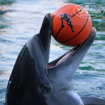 фото из отзыва ID 2136036