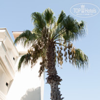 фото из отзыва ID 2136073