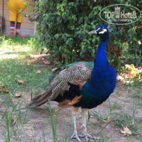 фото из отзыва ID 2135889