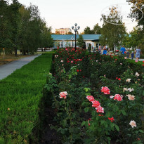 фото из отзыва ID 2136199