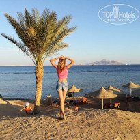 фото из отзыва ID 2136208