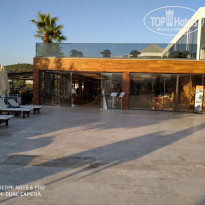 фото из отзыва ID 2135823