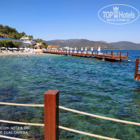 фото из отзыва ID 2135823