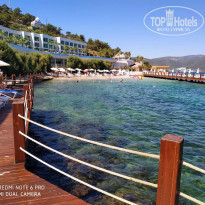 фото из отзыва ID 2135823