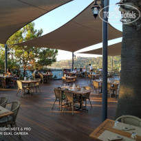 фото из отзыва ID 2135823