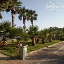 фото из отзыва ID 2136328