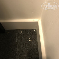 фото из отзыва ID 2136552