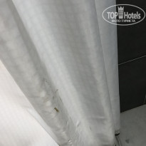 фото из отзыва ID 2136552