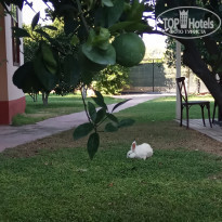 фото из отзыва ID 2136548