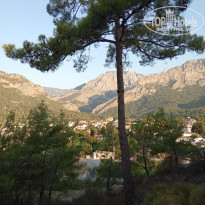 фото из отзыва ID 2136548