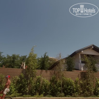 фото из отзыва ID 2133768