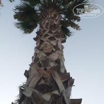 фото из отзыва ID 2136604