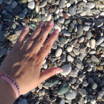 фото из отзыва ID 2136604