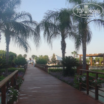 фото из отзыва ID 2136649