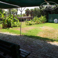 фото из отзыва ID 2136653