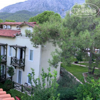 фото из отзыва ID 2136758