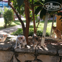 фото из отзыва ID 2137154