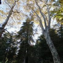 фото из отзыва ID 2137191