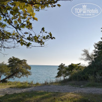 фото из отзыва ID 2137191