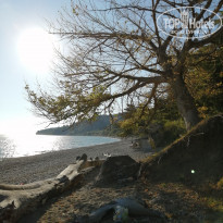 фото из отзыва ID 2137191