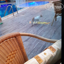 фото из отзыва ID 2137562