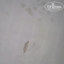 фото из отзыва ID 2137562