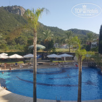 фото из отзыва ID 2137538