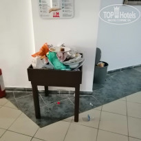 фото из отзыва ID 2137785