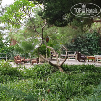 фото из отзыва ID 2137824