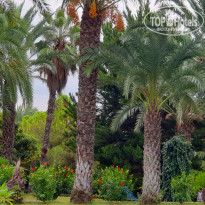 фото из отзыва ID 2137824