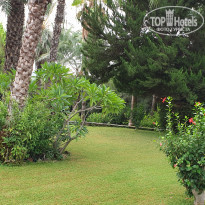 фото из отзыва ID 2137824