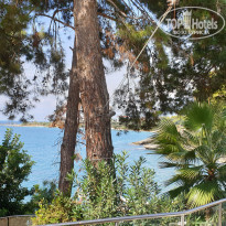 фото из отзыва ID 2137824