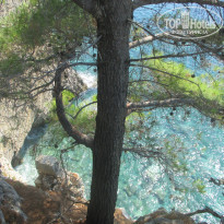 фото из отзыва ID 2137402