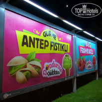 фото из отзыва ID 2137839