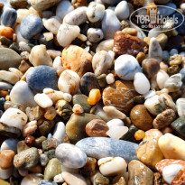 фото из отзыва ID 2138004