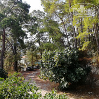 фото из отзыва ID 2138001