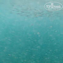 фото из отзыва ID 2138058