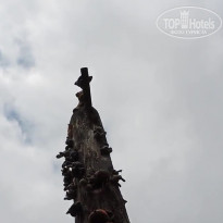 фото из отзыва ID 2138059