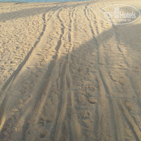 фото из отзыва ID 2138152