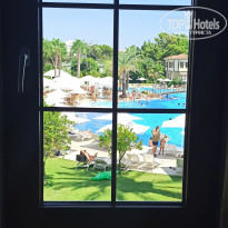 фото из отзыва ID 2138177