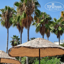 фото из отзыва ID 2138204