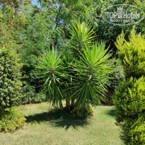 фото из отзыва ID 2138204