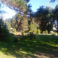 фото из отзыва ID 2138202