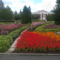 фото из отзыва ID 2138202