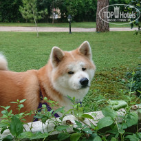 фото из отзыва ID 2138231