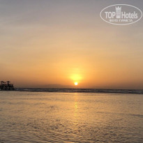 фото из отзыва ID 2138378