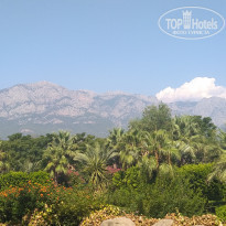 фото из отзыва ID 2138373