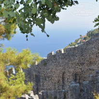 фото из отзыва ID 2138376